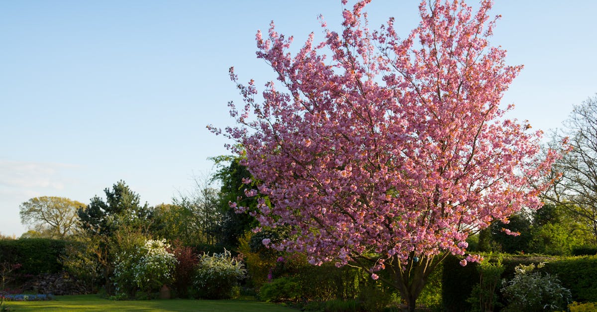 Exploring Formal Balance in Landscape Gardening